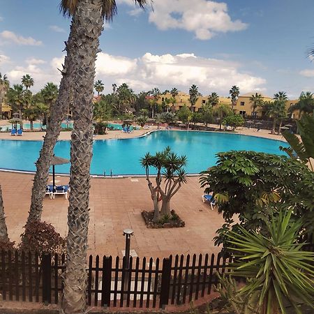 Tamarindo 27 Pool Front Next To The Dunes, Free Wifi Corralejo Exteriér fotografie